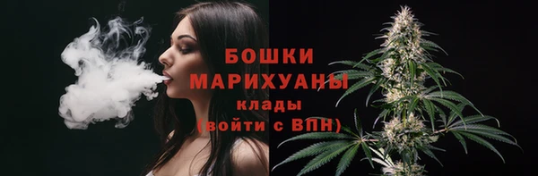 шишки Богородицк