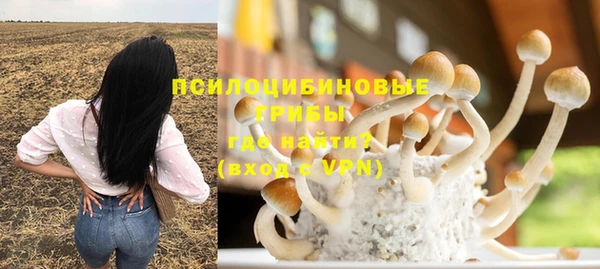 СК Арсеньев